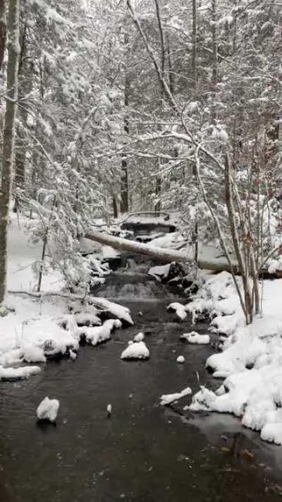 lol this is probably lame but for those of you that like the snow but have never seen it irl