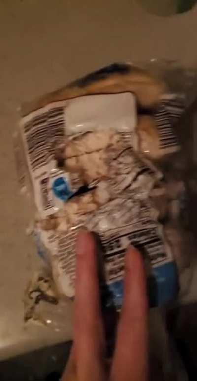 A stray cat broke into my house last night and took a bite out of every single one of my bagles