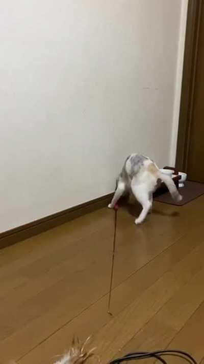 If you want something done, you gotta do it yourself