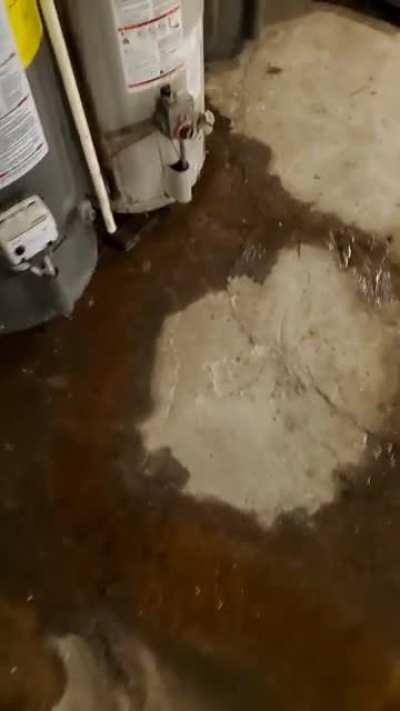 I figured out why I've been having to take cold showers for the past three days