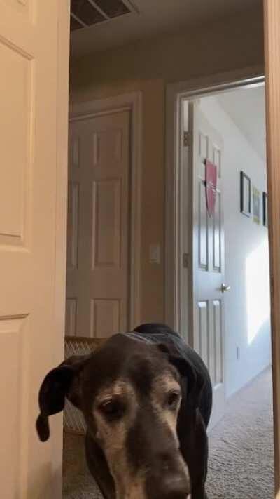 “You know the rule...I need to see you at all times”