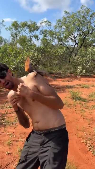 🔥 two french speaking guys encounter a Frill-necked lizard in the Australian outback.