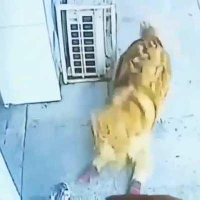 Vivimos en una simulaci&oacute;n de combate