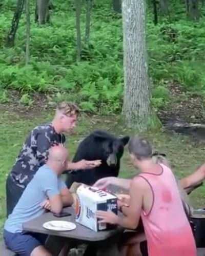 Fed Bear = Dead Bear