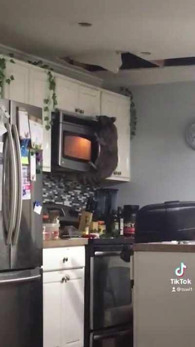 Renovations not going too well.