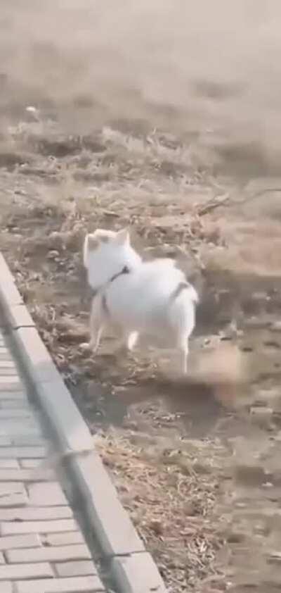 Just doing my leg kicks.