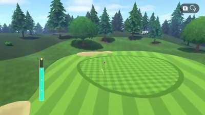 First eagle on a long chip in!