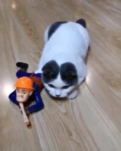 behind the enemy lines, WE ARE SAFE, i repeat, we're safe!!