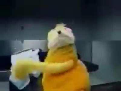 FLAT ERIC FRIDAY!!!!!!!!!!!!!!!!!!!!!!!!!!!!!!!!!!!!!!!!!!!!!!!!!!!!!!!!!!!!!!!!!!!!!!!!!!!!!!!!!!!!!!!!!!!!!!!!!!!!!!!