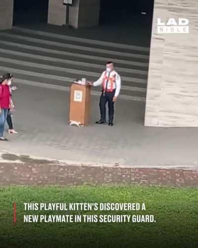 Kitten Teases Security Guard