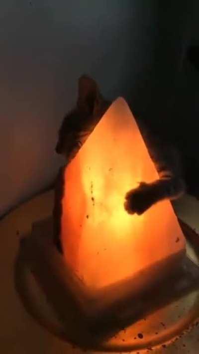 I'd rather praise a rock rather than society itself.