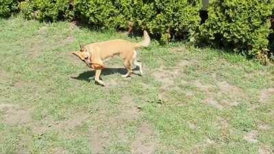 Not the easiest way to bring back the toy