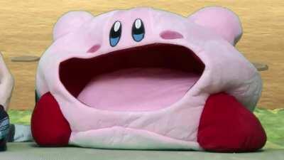 Kirby sucks