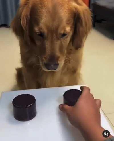 I was just kidding... can we replay it?