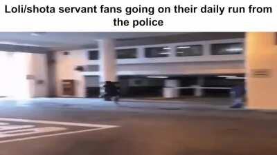 Various different types of FGO fans