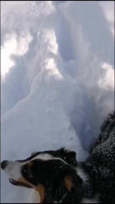 First we go this way. Then we go that way.