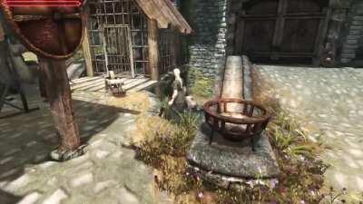 Skyrim bugs still amaze me up to this day...
