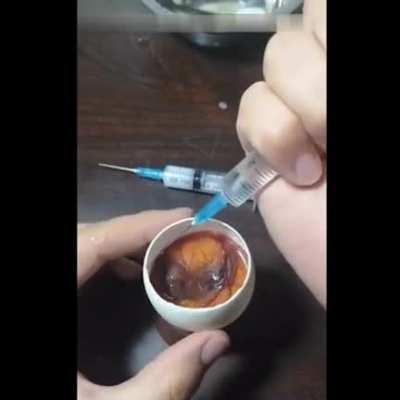 Growing a chicken in an open egg