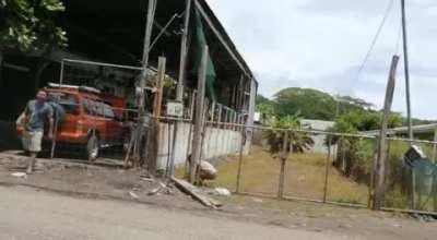 They electrified the fence so lemons are no longer stolen from the property.