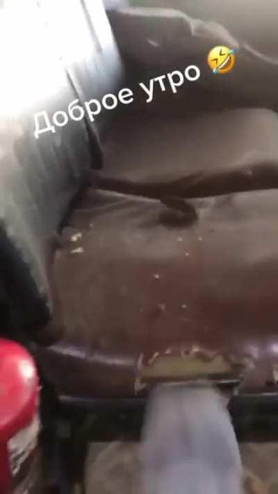 Mickey Mouse and Friends