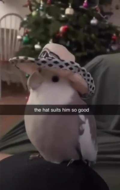 What Luke would do on Friday night if he was into FASHION instead of TECH...