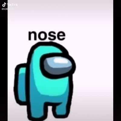 Nose
