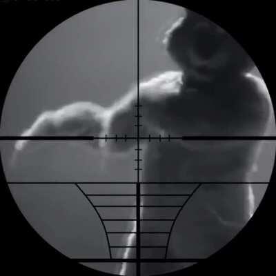 Btw I am a furry so no hate meant in this meme