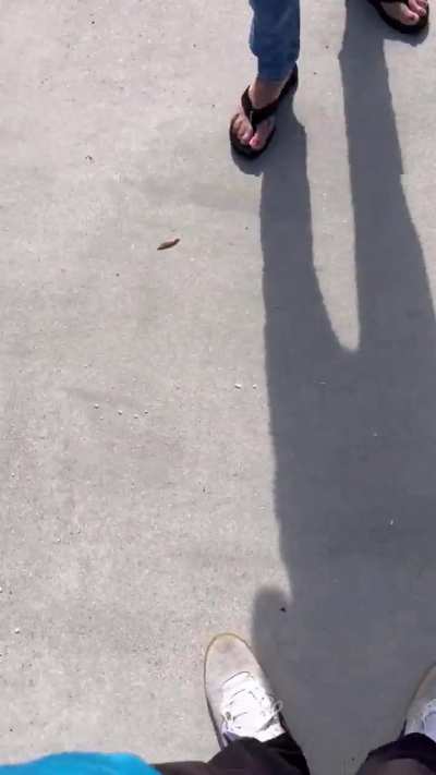 racist amazon customer rages at driver