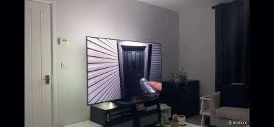 Phasmophobia With LEDs