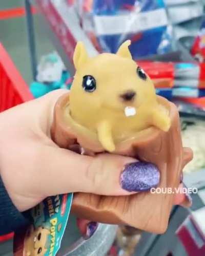 Белка Лариса и ее дупло.