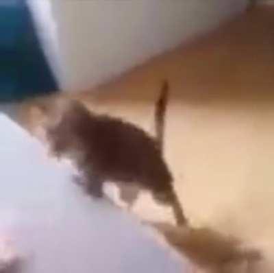 Rrrrrrrregrrrrrrrrrrrr