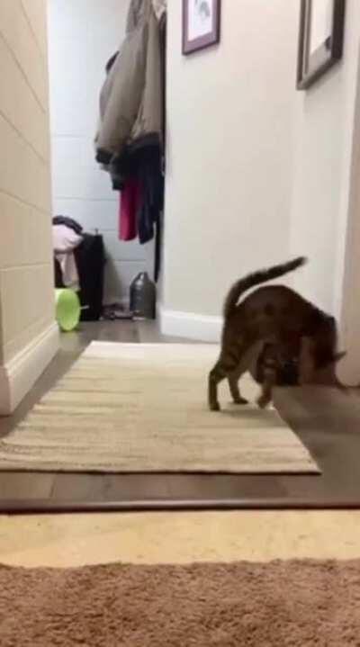 What the hell was that