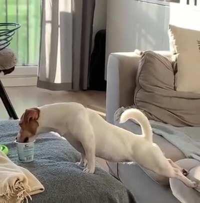 When the yogurt is just too tasty 😋