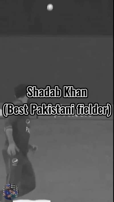 Meme team has arrived