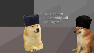 Some Handsome Genius Turkish Guy Saves Turkey But They Are Doge