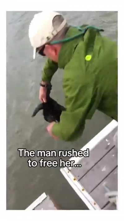 Otter asks for help and kind strangers help reunite the pair; they receive a thoughtful gift at the end