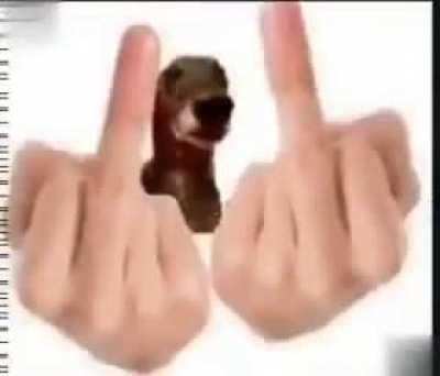 🖕😡🖕 Cachorro quente arrombado