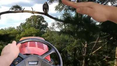 who needs a drone anyways