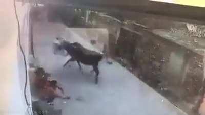 He didn't expect that