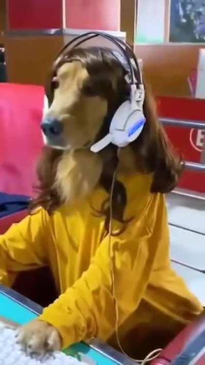 My favorite streamer