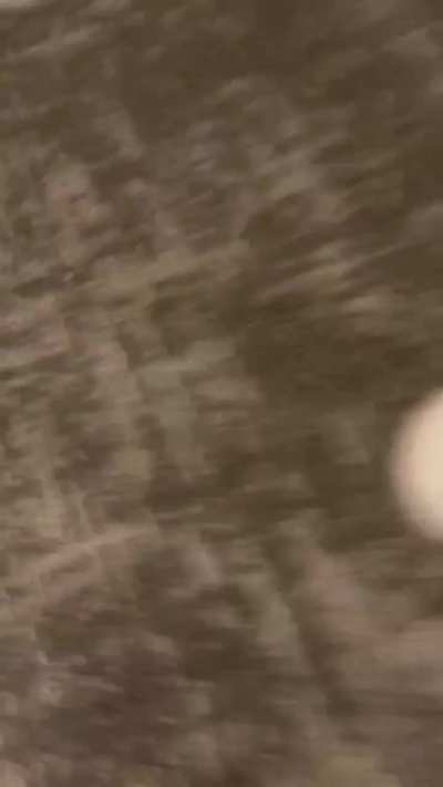 Colton Cowser throws a ball all the way up to some fans in the Rogers Centre Hotel