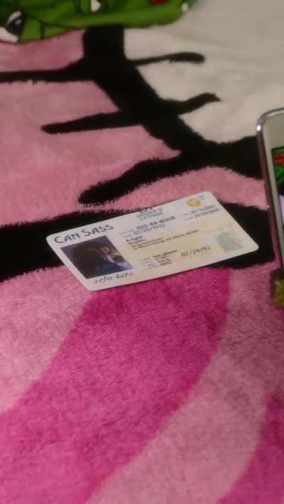 The Verification Trap