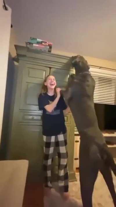 Now that's a big boy