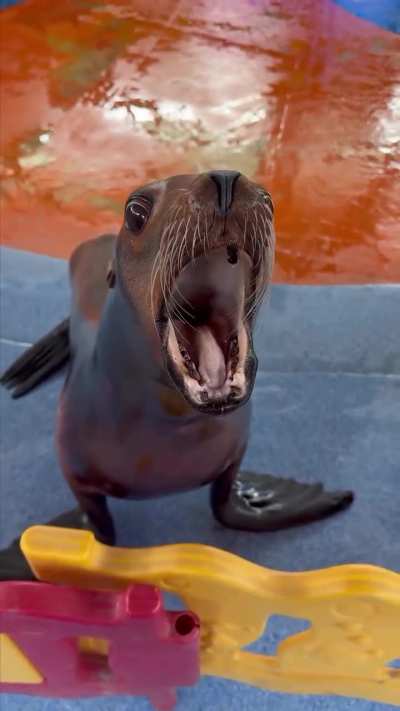 Bro can’t contain his silliness