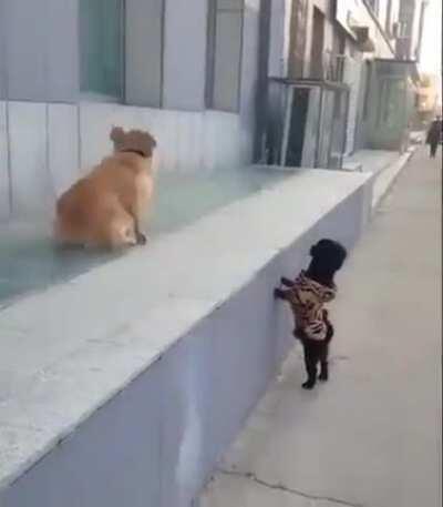 It was his first kiss