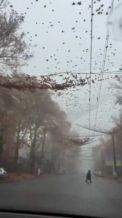 Streets of Kherson covered with anti-drone nets