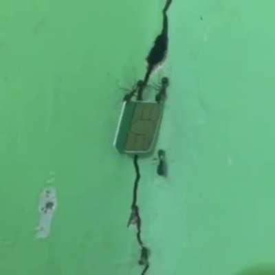 Миссия по установлению связи провалена.