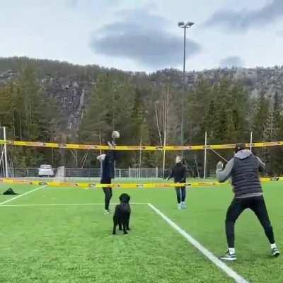 The best volley team