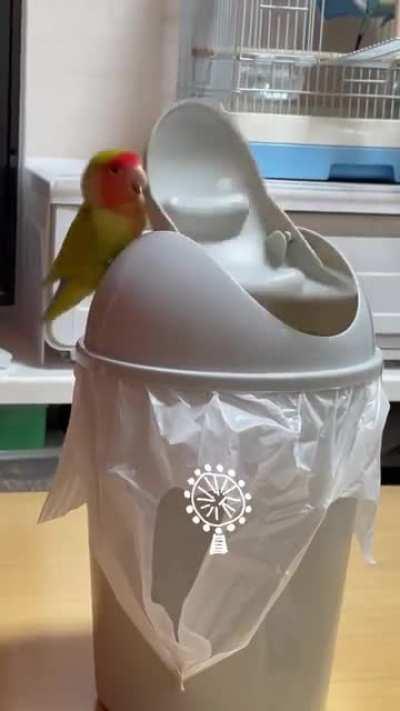 never seen someone be so happy with a trash bin