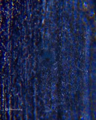 Zooming into a pencil.